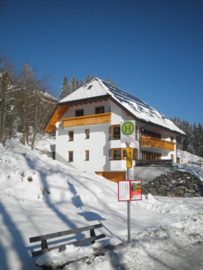 Отель Ferienwohnungen DaHeim Titisee  Хинтерцартен